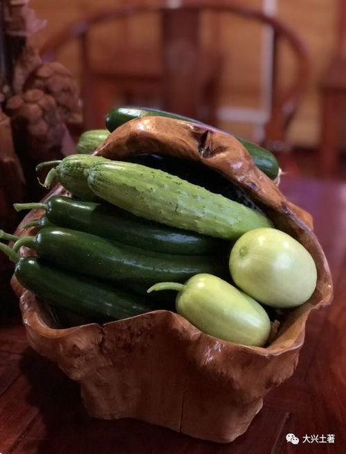 网红安安吃瓜,揭秘网红幕后生活