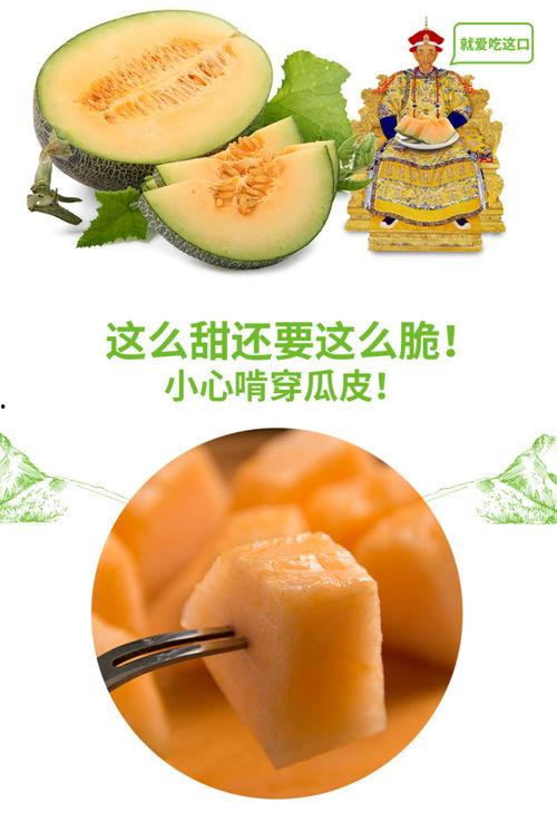 吃瓜官网推荐,热门美食推荐大盘点