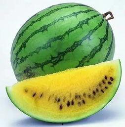 吃瓜吃到头上了网红,揭秘网络红人的崛起之路