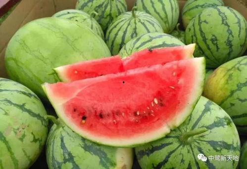 吃瓜吃到头上了网红,揭秘网络红人的崛起之路