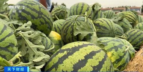 吃瓜吃到头上了网红,揭秘网络红人的崛起之路