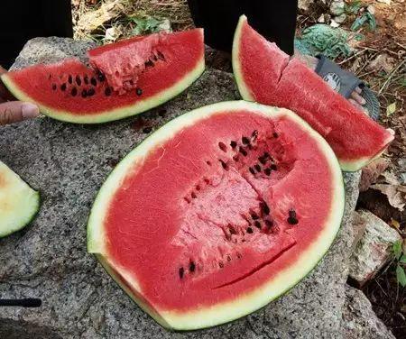 吃瓜网有没有毒,究竟有没有毒，真相大起底！