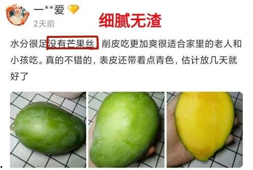 吃瓜网官网mr.hs,mr.hs背后的故事与影响力