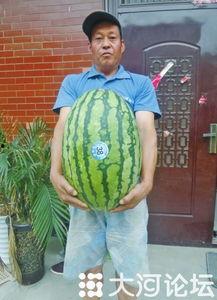 天天吃瓜网51大赛,天天吃瓜网年度盛事，瓜界风云再起