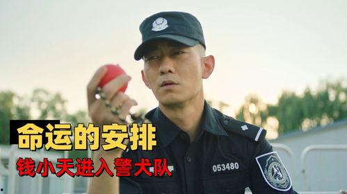 张景瑜警吃瓜网,揭秘吃瓜网背后的真相与悬疑