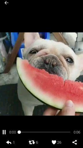 网暴反转吃瓜群众的心理,网暴心理的微妙转变