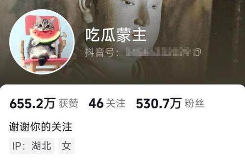 吃网红瓜的平台叫啥了呀,揭秘“吃瓜群众”的新阵地