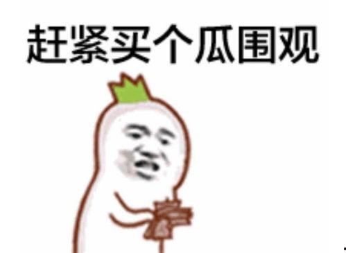 主播网红吃瓜表情包下载