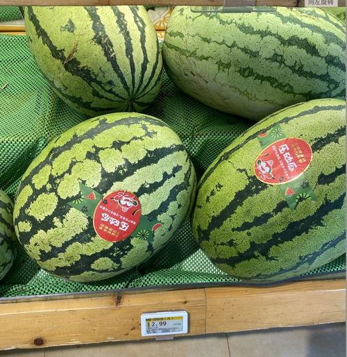 宁夏网红直播吃瓜,带你领略特色美食与网络魅力