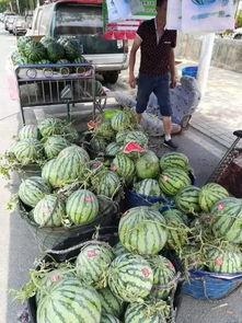 沂水吃瓜网红事件真相