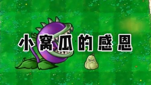 吃瓜爆料官网小僵尸