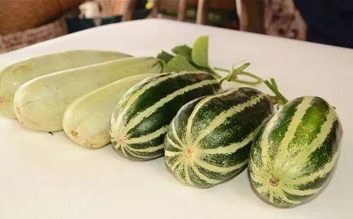 达旗网红吃瓜,揭秘网络红人的幕后生活