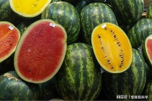 上海网红吃瓜事件真相,真相背后引人深思