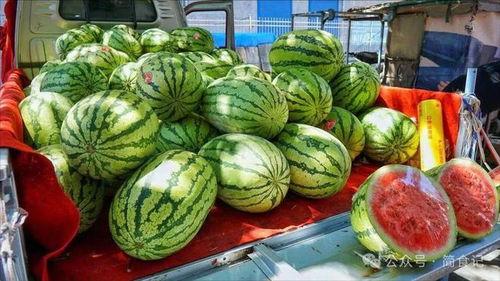 上海网红吃瓜事件真相,真相背后引人深思