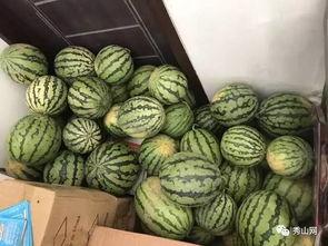 网课吃瓜群,揭秘虚拟课堂背后的趣味与争议