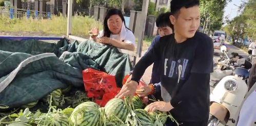 杭州网红打架吃瓜事件,网络暴力下的现实冲突