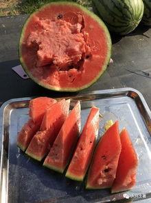 最近网红吃瓜大事件,揭秘娱乐圈最新热点背后的真相