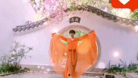 吃瓜网红ing,揭秘网络红人的瓜田生活