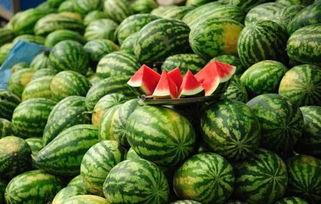 济宁网红吃瓜事件真相,真相背后的网络风波