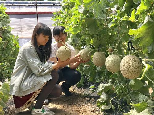 600万网红吃瓜,揭秘娱乐圈最新吃瓜盛宴！