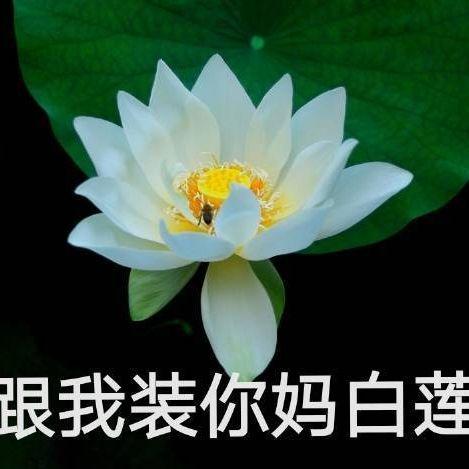 网红吃瓜微信头像,揭秘网络红人的日常生活