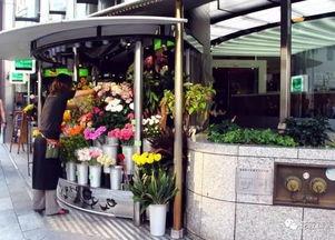 吃瓜网花店老板,揭秘花店背后的温馨故事