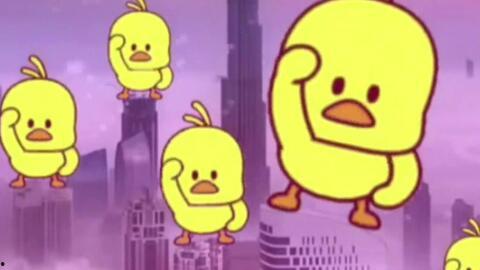 抖音网红吃瓜鸭是真的吗,揭秘抖音网红“吃瓜鸭”的真实身份！