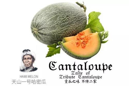 海王网购吃瓜是真的吗,真相揭秘还是网络谣言？