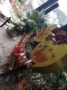 洪崖洞吃瓜网红是谁,揭秘网络红人的瓜田传奇