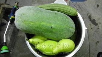 718吃瓜网是国内的吗,国内热门娱乐资讯平台深度解析