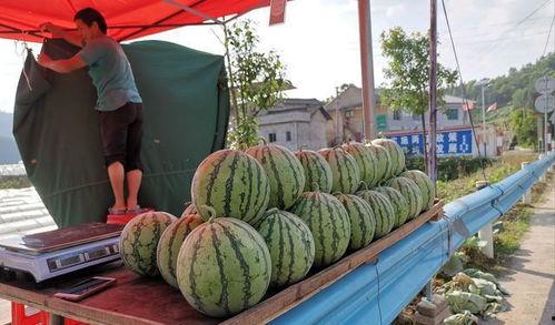 阜新吃瓜事件网红,网红引发的网络狂欢与反思