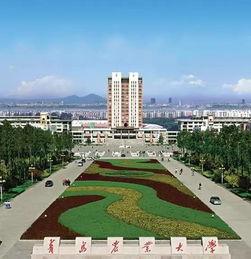 青岛农业大学吃瓜网,校园热点一网打尽