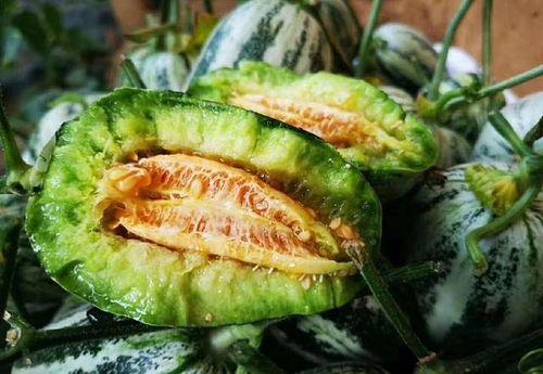 摩博会网红吃瓜,揭秘幕后故事与精彩瞬间