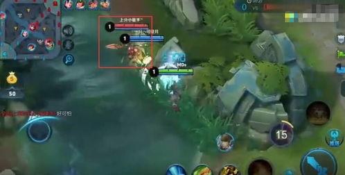 帝王路吃瓜人明月小说网,吃瓜人视角下的明月小说世界