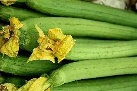 地瓜网吃瓜视频下载地址,独家下载地址大公开！