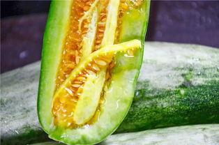 虞城网红吃瓜,揭秘网络红人的幕后故事