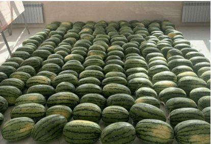 校园吃瓜网在线吃瓜