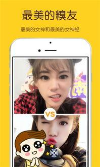 网红吃瓜糗事大全下载,笑料百出，揭秘娱乐圈幕后趣闻