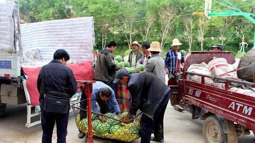泗阳网红街吃瓜群众事件,一场网络舆论的风暴与反思