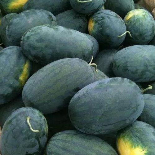 黑料吃瓜网155fun,黑料吃瓜网背后的娱乐风云