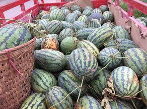 一品吃瓜网,跟随一品吃瓜网，一网打尽明星幕后故事