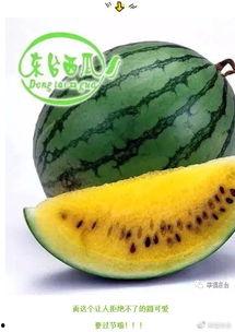 全球最大的吃瓜网,揭秘吃瓜网独家热辣资讯