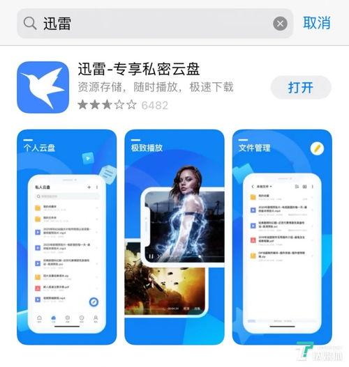 吃瓜迅雷网盘分享