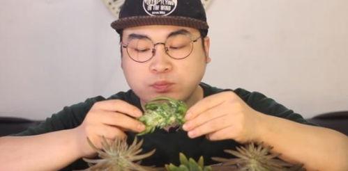 吃瓜小哥网红是谁,网红背后的故事与影响力