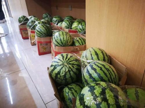 吃瓜直播间网红有哪些