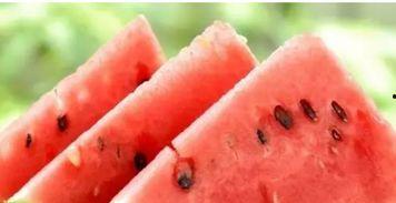 黑科网吃瓜在线